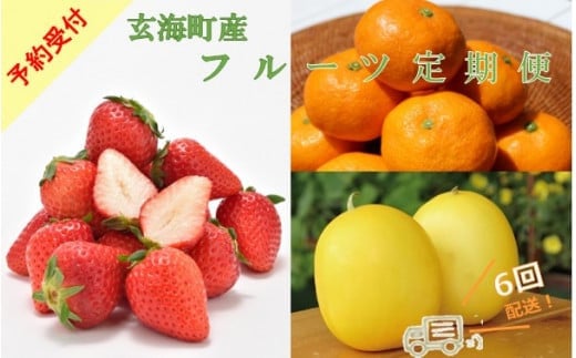 【定期便6回】旬のフルーツ定期便 ／ いちご キンショウメロン ハウスみかん 温室みかん イチゴ 苺 さがほのか 淡雪 真紅の美鈴 白いちご 黒いちご 果物 定期便 セット 冷蔵 佐賀県 玄海町