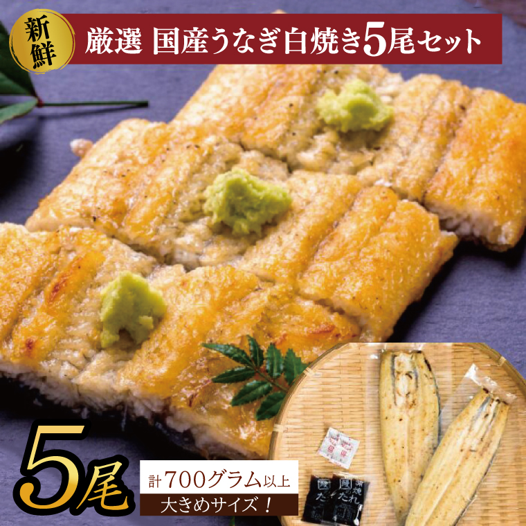 大きな国内産うなぎ白焼(酒蒸し)140～160g×5尾　計700g以上｜うなぎ 鰻 ウナギ 国産 国産うなぎ 白焼き 白焼 酒蒸し 土用の丑の日 丑の日 茨城県 行方市(AD-149)