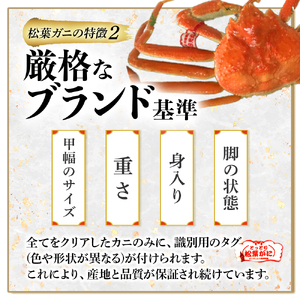 【魚倉】足１本なし生松葉ガニ（並500g） 訳あり 松葉ガニ
