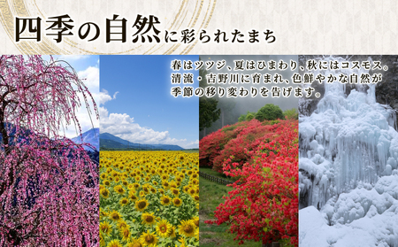 天野農園の梅干し 1kg (小梅) すっぱい梅干し 保存料不使用 梅干し 着色料不使用 梅干し 梅干し 梅干し
