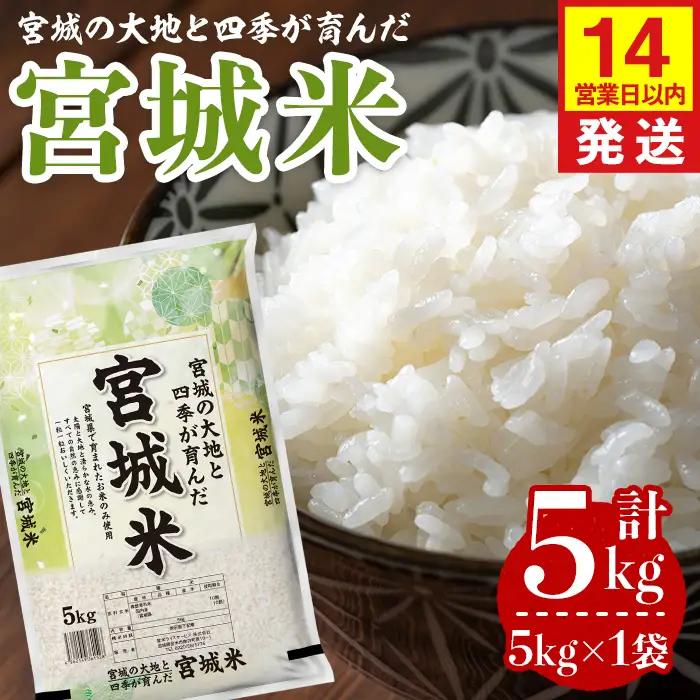 【14営業日以内に発送予定】宮城米 5kg×1袋 ブレンド米 業務用 お米 おこめ 米 コメ 白米 ご飯 ごはん おにぎり お弁当 【登米ライスサービス株式会社】tm732