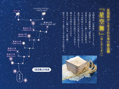 星空舞　10kg（5kg×2袋）