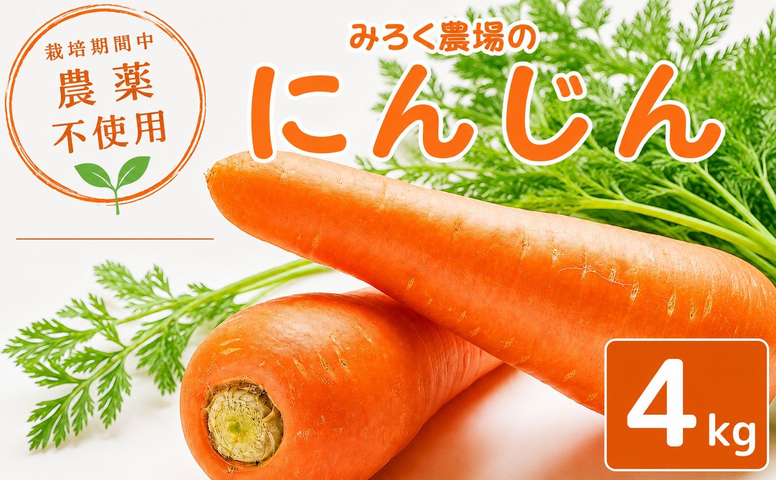 
                  にんじん 約4kg 【2026年12月上旬～2027年3月発送】 人参 ニンジン 野菜 やさい おやさい 国産 農薬 栽培期間中不使用 甘い ジュース にも 旬 おすすめ 新鮮 先行予約 特産 産地直送 千葉 東金 みろく農場
                