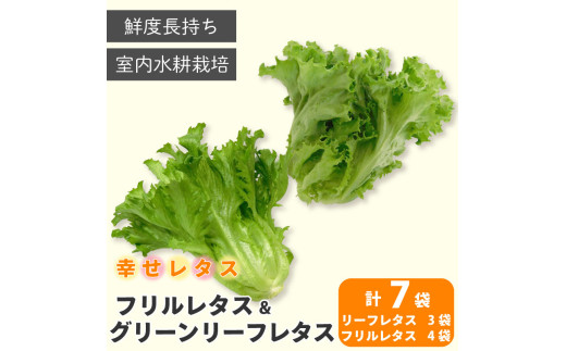 野菜 詰め合わせ セット レタス 計7個 幸せレタス フリルレタス 4個 グリーンリーフ 3個 水耕栽培  LED 栽培 低菌 野菜 丸ごと ベジタブル 副菜 常備菜 サラダ ヴィーガン ヘルシー
