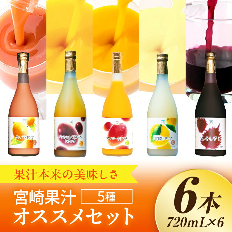 【ふるさと納税】驚きの果実感！ 宮崎果汁オススメセット(720ml×6本) 送料無料 宮崎県 串間市 果物ジュース フルーツジュース 詰め合わせ セット グァバ マンゴー 日向夏 パッションフルーツ しそしずく 贈り物 贈答 ギフト プレゼント お祝い 記念日 お歳暮 お中元 人気