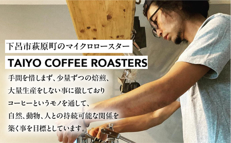 スペシャルティコーヒー豆 ミャンマーウォッシュド 200g×2　計400g【TAIYO COFFEE ROASTERS】ミャンマー 珈琲 コーヒー コーヒー豆 スペシャルティ スペシャリティ 下呂市【