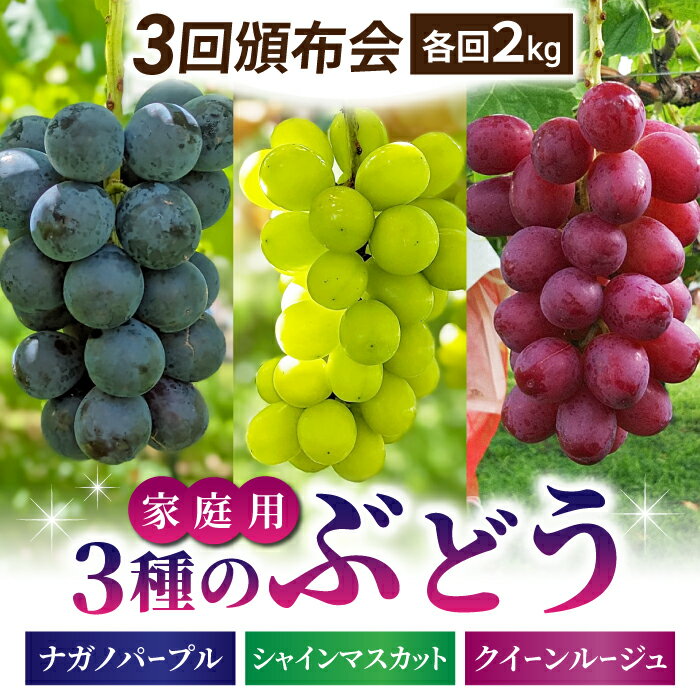 【ふるさと納税】【先行受付2025年発送】家庭用旬の3種のぶどう3回頒布会（シャインマスカット、ナガノパープル、クイーンルージュ(R)）各回2kg｜東御こもだ果樹園　※2025年9月以降発送予定