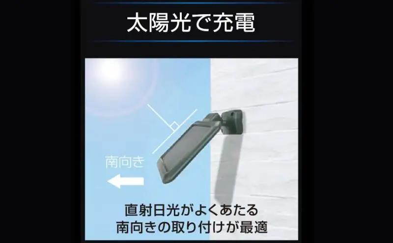 大進 ソーラー充電式LEDセンサーライト2灯 DLS-17T200 防犯ライト ソーラーライト 防雨 屋外 人感センサー 4939736905876