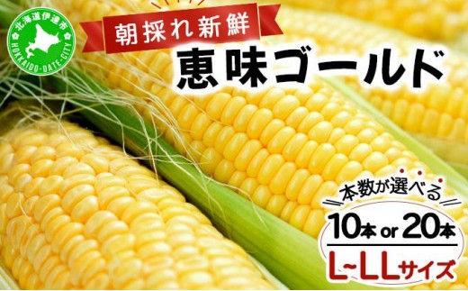 
                  【 2026年先行予約 】＜選べる本数＞北海道 朝もぎ とうもろこし 恵味 ゴールド L-LLサイズ 10～20本 スイート コーン トウモロコシ とうきび 旬 完熟 新鮮 野菜 採れたて 朝採り 甘い めぐみ  産地直送  取り寄せ 北海道産 送料無料 伊達市
                
