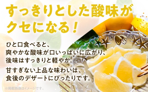  ニューサマーオレンジ（日向夏）約1.2kg　※2027年4月上旬頃から順次発送