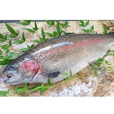 ふるさと納税 矢板市 栃木県ブランド魚　プレミアムヤシオマスのセット |  | 03