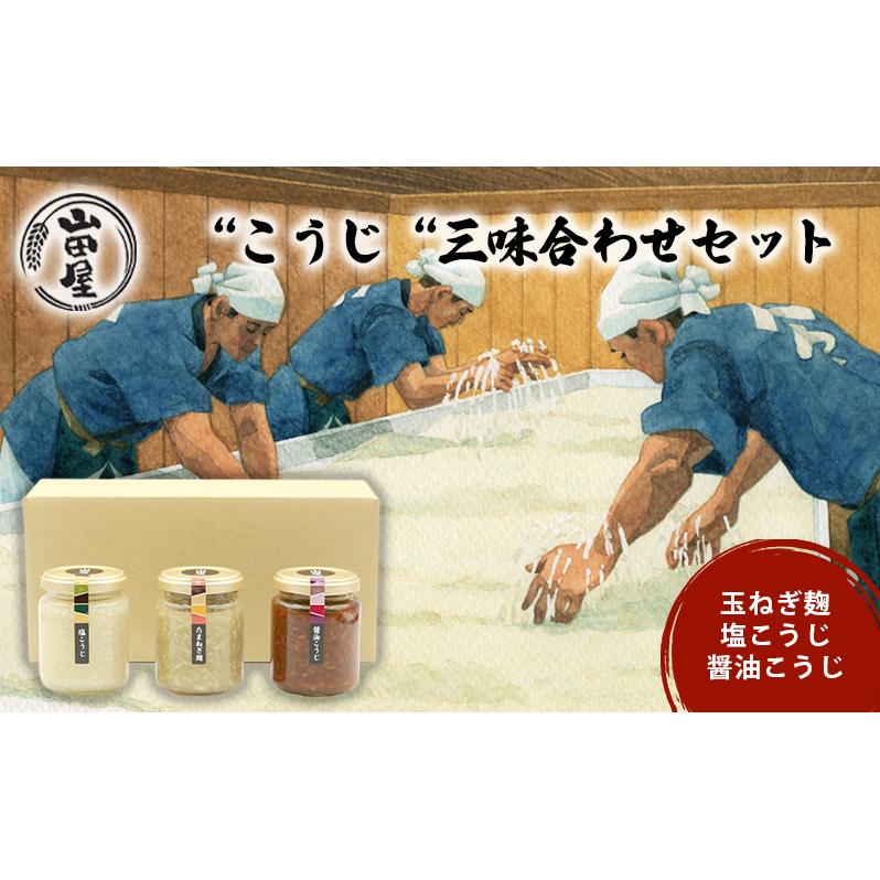 “こうじ“三味合わせセット 調味料 料理 調理 味付け 和食 日本食 玉ねぎ麹 醤油こうじ 塩こうじ 