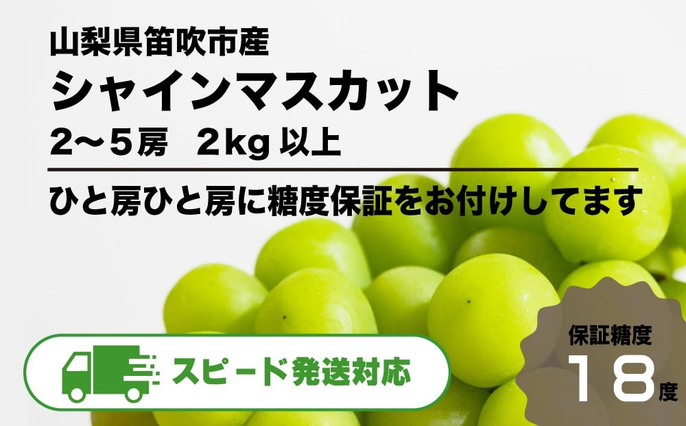 
            【糖度18度保証付】シャインマスカット 約2kg 2～5房【2025年スピード発送】＜数量限定＞旬の美味しいフルーツだけをお届けします【ルッチ Rucci】産地直送 山梨県 笛吹市 糖度 品質 保証 葡萄 ぶどう 新鮮 旬 くだもの 果物 フルーツ 人気 ランキング リピート 高評価 ギフト 贈答 贈り物 化粧箱 2025年 令和7年 期間限定 104-004SP
          
