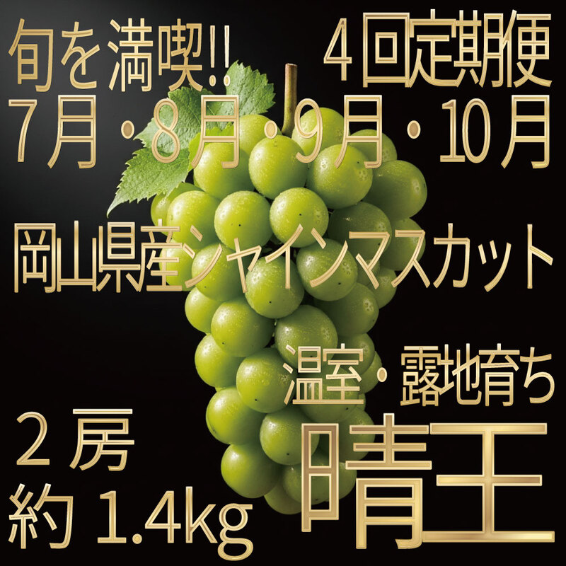 [HS]【定期便全4回】ぶどう先行予約7月・8月・9月・10月発送温室シャインマスカット晴王2房（合計約1.4kg）ブドウ 葡萄  岡山県産 国産 フルーツ 果物 ギフト デザート 食後 酸味が少ない 産地直送
