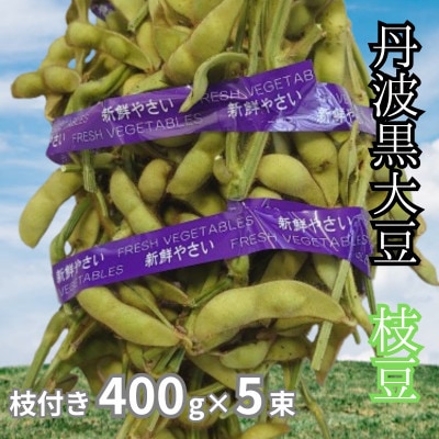 丹波黒大豆　枝付き枝豆400g×5束　コクと甘味そしてもっちりした食感をお試しください。【配送不可地域：離島】