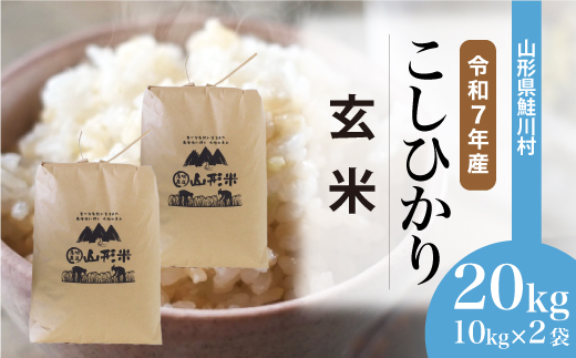 
                  ＜令和7年産米＞ 鮭川村 こしひかり 【玄米】 20kg （10kg×2袋）＜配送時期選べます＞
                