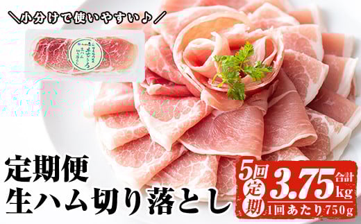 
            ＜定期便・全5回(連続)＞鹿児島発！国産豚生ハム切り落とし（計3.75kg/計750g・75g×10P×5回） 生ハム おつまみ 小分け 【ナンチク】 T30
          