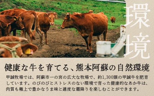 熊本和牛 あか牛 ザブトン 360g (120g×3)【 和牛 牛肉 お肉 肉 ザブトン 焼肉 バーベキュー 肩ロース ロース 熊本県産 国産 ステーキ 冷凍 】046-0780