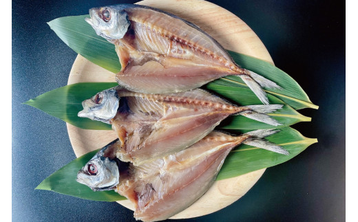 すさみの干物3種セット（あじ開き×3 、さんまみりん干し×3 、かます開き×3）/ ひもの アジ 鯵 サンマ 秋刀魚 カマス 詰め合わせ 和歌山 すさみ【gyg120】