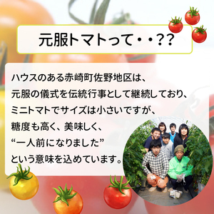 赤崎元服トマト 500g フルーツトマト 野菜 とまと 糖度9 ミニトマト あまい 甘い 甘いトマト リコピン 食品 旨味 ミネラル ビタミンC 栄養 自宅用 お試し ごはん 夕飯 おかず サラダ 国