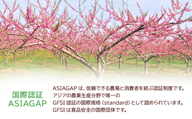 【桃の王様 川中島】特秀 約5kg 14～22玉程度 　ASIAGAP認証農場 津軽農園 採れたて 農家直送