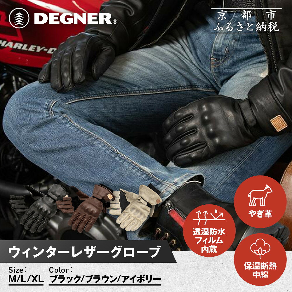 【ふるさと納税】【デグナー】ウィンターレザーグローブ[WG-50]〈カラー・サイズ選択可〉｜京都 バイクギア 人気ブランド バイク［ 京都 バイク 革製品 ブランド 人気 おすすめ 革 レザー ツーリング ライダー バイカー バイクギア お取り寄せ 送料無料 ふるさと納税 ］
