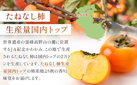 [2025年10月上旬～発送]和歌山県産 秀品 平核無柿 約7.5kg L ~ 2L サイズ 青秀品 たねなし柿 種無し柿 選果場 直送