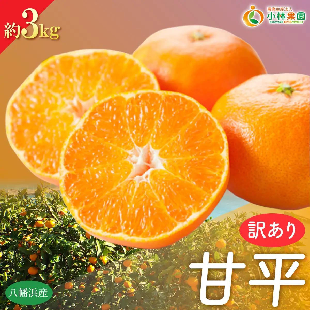 【先行受付】★訳アリ★【数量限定300箱】　愛媛・小林果園の甘平(かんぺい)約3キロ【C24-39】【1711287】 YWTAD030