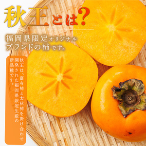 ＜先行予約受付中！2026年10月下旬～11月下旬に順次発送予定＞秋のフルーツの王様・ブランド柿 秋王 (約計1.2kg・3Lサイズ4玉入り) かき カキ フルーツ 果物 くだもの 福岡限定 オリジナ