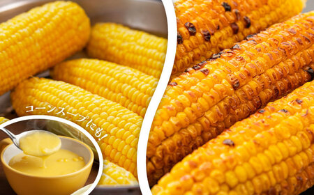 【数量限定】スイートコーン、ドルチェドリームと甘々娘の食べ比べセット【なかむら農園】[BHCJ003]