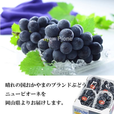 【2025年6月発送】岡山県産 ニューピオーネ 1.5kg(3房~6房)【配送不可地域:離島・北海道・沖縄県】