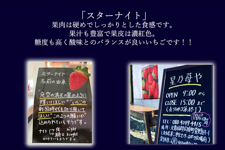 【先行予約】【スターナイト】2パック 2026年3月発送 // 苺 いちご イチゴ ストロベリー スターナイト 奈良 奈良県 広陵町 生産者直送  直送 厳選 数量限定 旬 フルーツ 甘い 完熟 果物