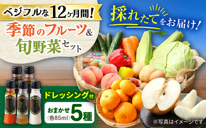 
            【12回定期便】野菜・果物の詰合せと極みドレッシング85ml×5本 / 野菜 やさい 果物 くだもの フルーツ ふるーつ ドレッシング  / 大村市 / おおむら夢ファームシュシュ [ACAA221]
          