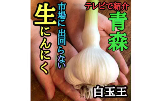 青森生にんにく20玉★年に1度、収穫時期しか食べられない逸品です★【1619319】