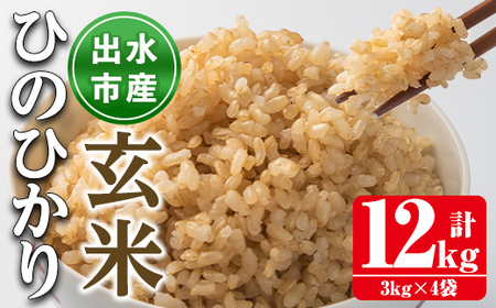 鹿児島県 出水市産 ひのひかり 玄米 (計12kg・3kg×4袋) お米 ごはん ご飯 【田上商店】 i503