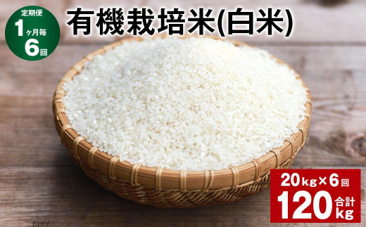 【1ヶ月毎6回定期便】 有機栽培米（白米） 計120kg（20kg✕6回） 米 白米 ミルキークイーン