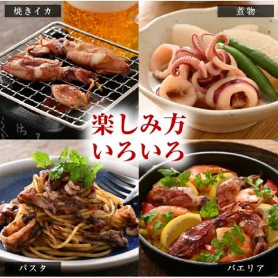 ふるさと納税 越前町 【急速冷凍】【訳あり】生いか 天然ケンサキイカ サイズ無選別 500g |  | 02