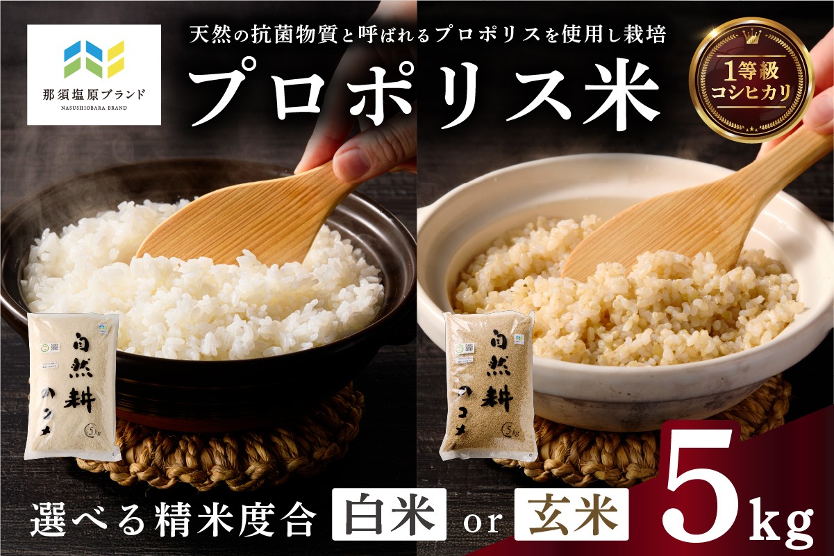 
                  【選べる精米度合】プロポリス米(1等級コシヒカリ) 5kg【令和7年度産米】【那須塩原ブランド認定品】 ns063-001-sku 【ご飯 真空パック 国産 ブランド米】 
                