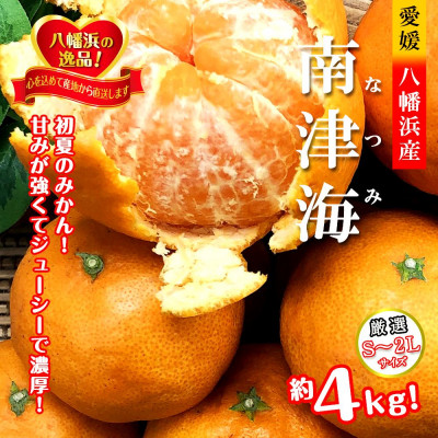 2026年4月発送開始　甘みが強くて濃厚!初夏のみかん「なつみ」4キロ【C39−35】【配送不可地域：離島】【1280608】