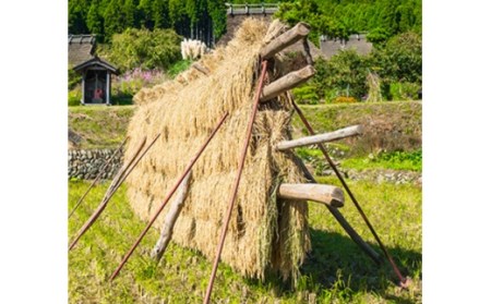 【新米】【京都丹波 西村farm】京都丹波産こしひかり 西村ファームの京ほたる米 10kg[髙島屋選定品］020N521 【令和6年産新米予約】