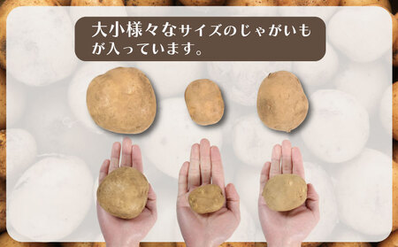 先行予約 じゃがいも 約5kg ニシユタカ 【12月初旬~4月中旬頃発送予定】