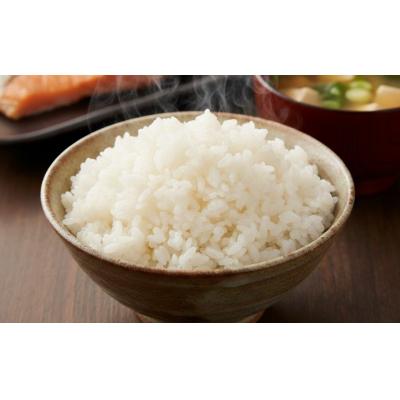 ふるさと納税 小松市 【令和7年産】 コシヒカリ 精米 蛍米 10kg ( 5kg×2袋 ) 石川県 小松市 JA小松市 |  | 01