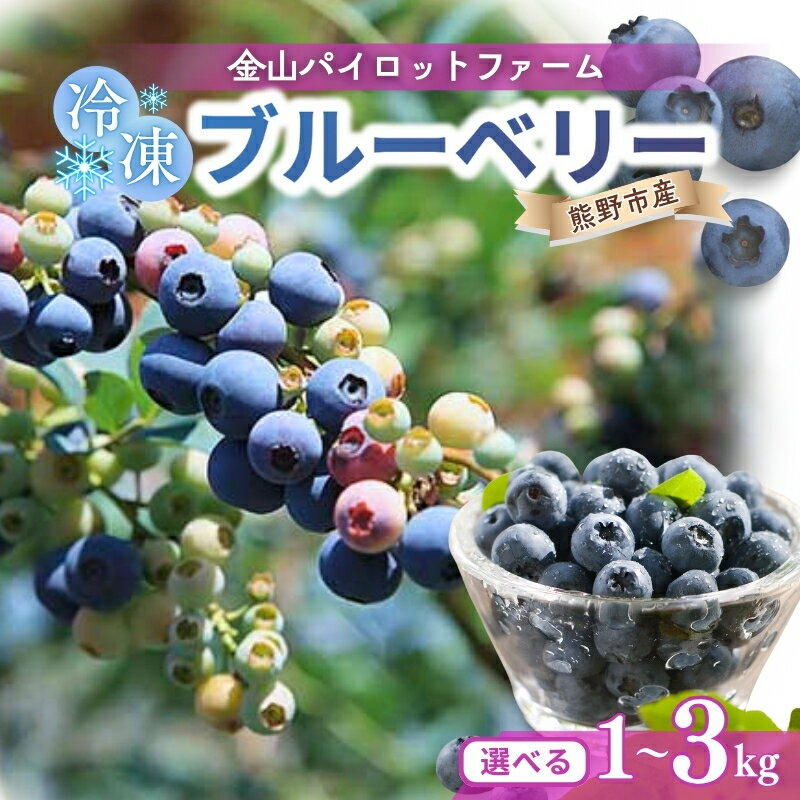 【ふるさと納税】 ブルーベリー 冷凍 1kg 2kg 3kg 【選べる容量】 急速冷凍 大粒 フルーツ 果物 くだもの スムージー ジャム 朝食 デザート 特産品 人気 国産 旬 金山パイロットファーム 三重県 熊野市 送料無料
