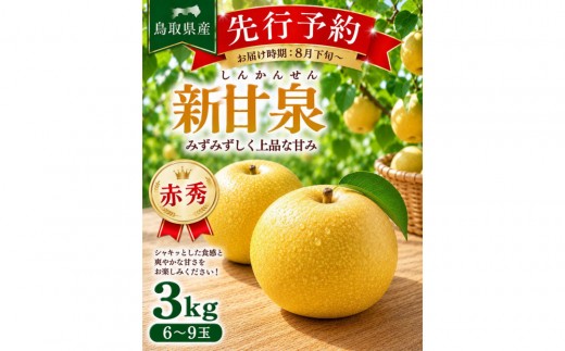 東商果樹園 新甘泉(赤秀)3kg 【鳥取県 境港市】