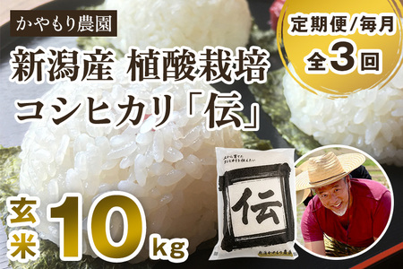 最短3日発送【定期便3回毎月お届け】【令和6年産新米】新潟産コシヒカリ「伝」真空パック 玄米10kg（5kg×2） 南麻布の高級料亭で提供される極上米 かやもり農園 新潟県産コシヒカリ 米 お米