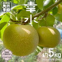 【ふるさと納税】【先行予約】幸水 梨 約 5kg 10玉～14玉 【 茨城県共通返礼品 ／ かすみがうら市 】 なし 鈴木農園 産地直送 フルーツ 甘い 直送 茨城 限定