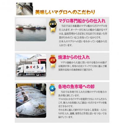 ふるさと納税 横須賀市 天然 本まぐろ 大トロ・中トロ・赤身(約200g×3柵)約600g 冷凍 |  | 02
