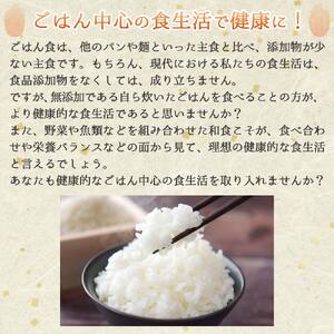 【数量限定】令和6年産 コシヒカリ 白米10kg　【5営業日以内発送】(24-20)