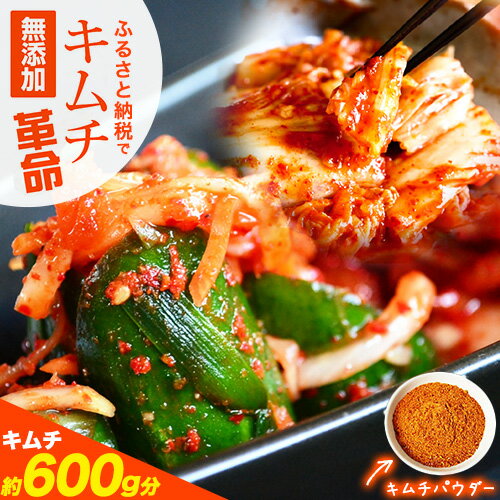 【ふるさと納税】キムチ革命 キムチパウダー お試しパック 1袋入り 60g 選べる袋数 1袋 2袋 3袋 樽の味《30日以内に出荷予定(土日祝除く)》 和歌山県 日高川町 キムチ 素 キムチの素 お試し 漬物 唐辛子 簡単 手作り 無添加
