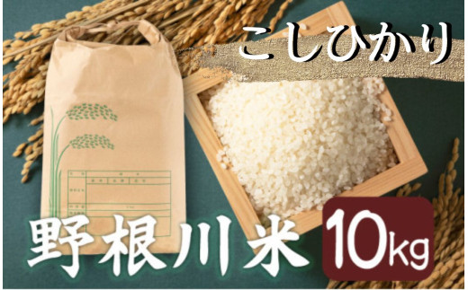 MZ001【8月中旬より発送開始】令和7年産 野根川米10kg こしひかり  米 新米 国産 コメ